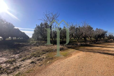 Ruinere i Brindisi, Brindisi, Brindisi - € 68.000 | Ref: Casolare Bern - foto 3